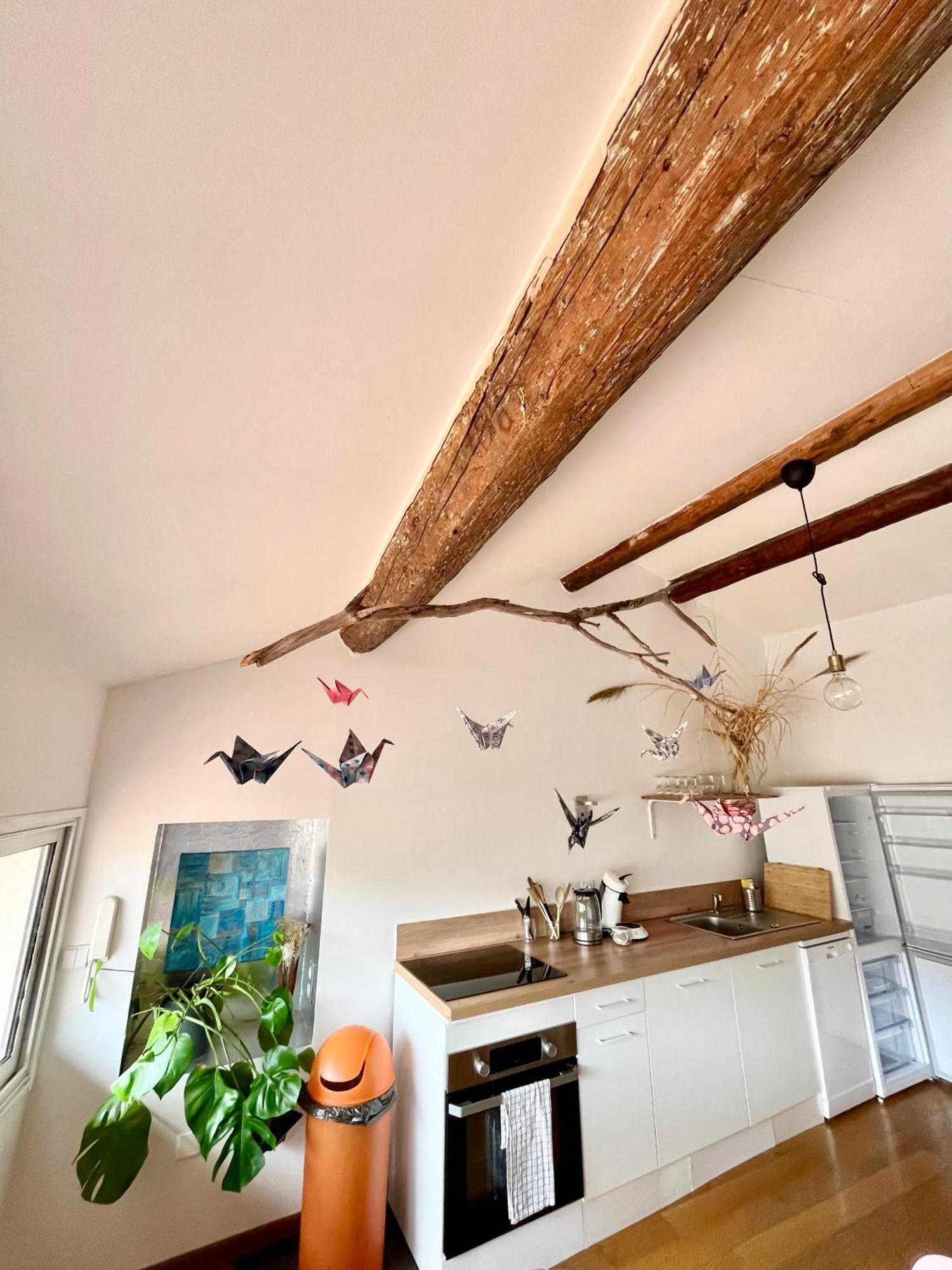A Spacious, Sunny & Calm Loft In Avignon'S Heart Exterior photo